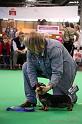 Crufts2011_2 1565